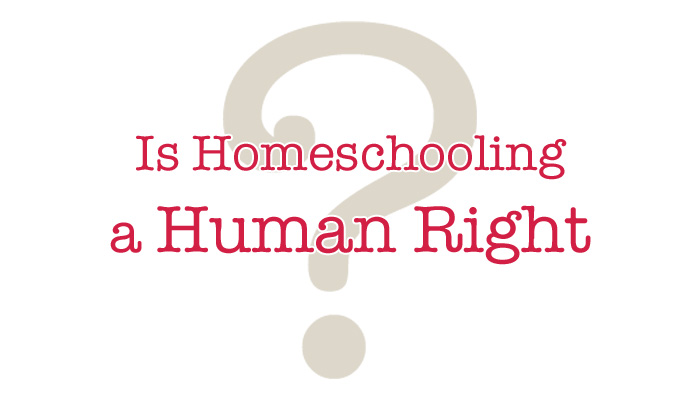 Is Homeschooling a Human Right? | Ordinary Happily Ever After