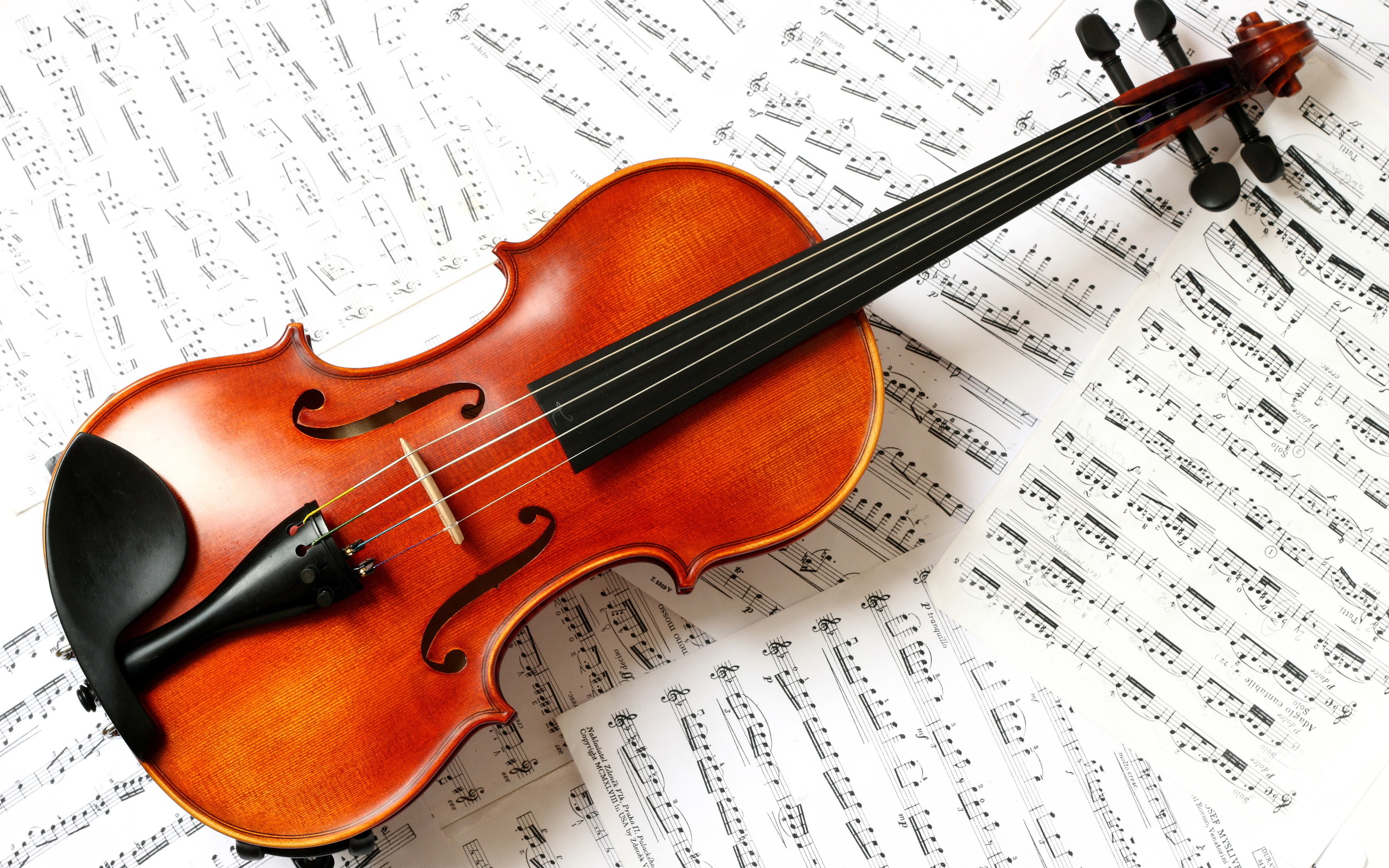 violin.jpg (2560×1600)